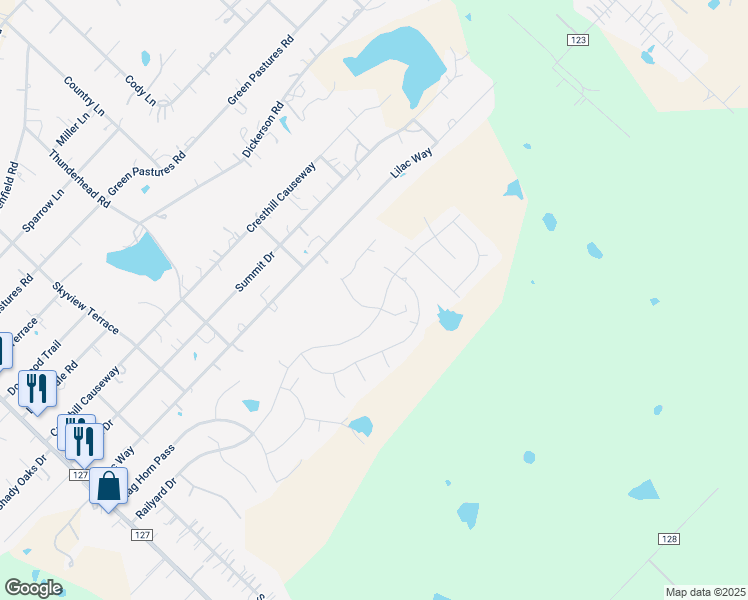 map of restaurants, bars, coffee shops, grocery stores, and more near 1029 Railyard Drive in Kyle