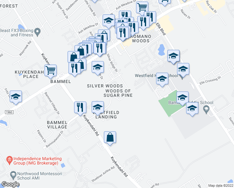 map of restaurants, bars, coffee shops, grocery stores, and more near 1938 Sugar Pine Circle in Houston