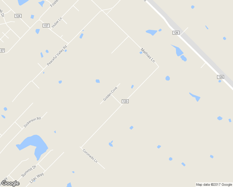 map of restaurants, bars, coffee shops, grocery stores, and more near 206 Golden Cove in Kyle