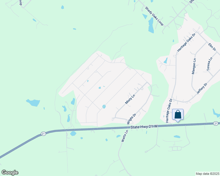map of restaurants, bars, coffee shops, grocery stores, and more near 177 Coyote Ridge Drive in Cedar Creek