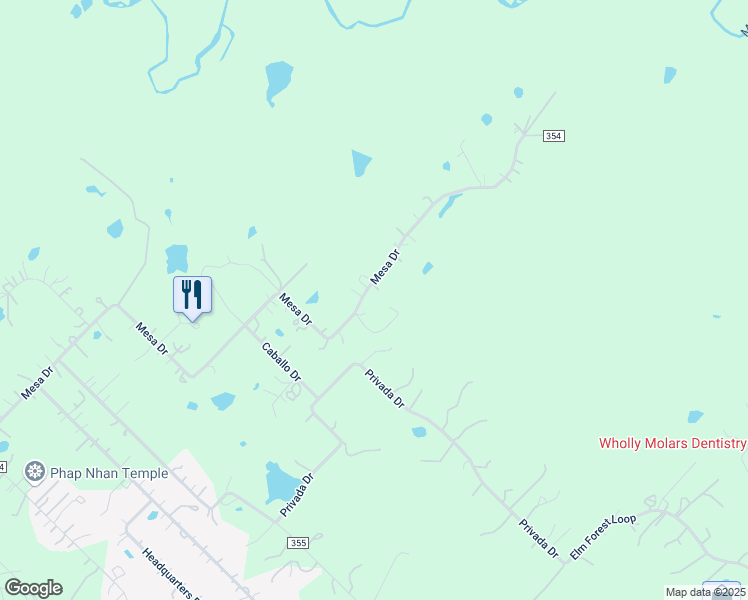 map of restaurants, bars, coffee shops, grocery stores, and more near 667 Mesa Drive in Bastrop County