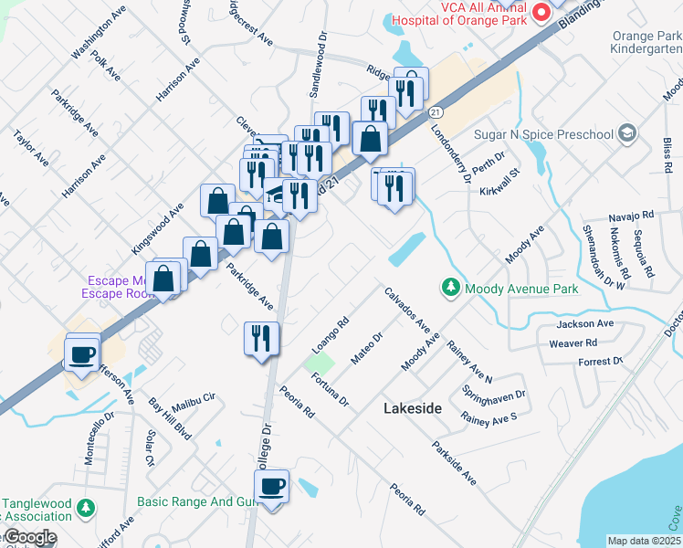 map of restaurants, bars, coffee shops, grocery stores, and more near 971 Doshire Drive in Orange Park
