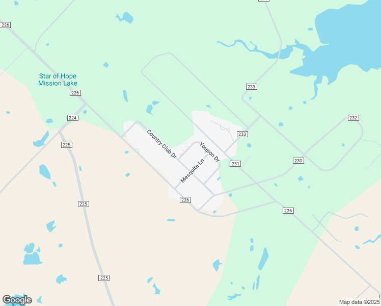map of restaurants, bars, coffee shops, grocery stores, and more near 1018 County Road 229 in Giddings