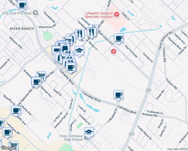 map of restaurants, bars, coffee shops, grocery stores, and more near 204 Long Plantation Boulevard in Lafayette