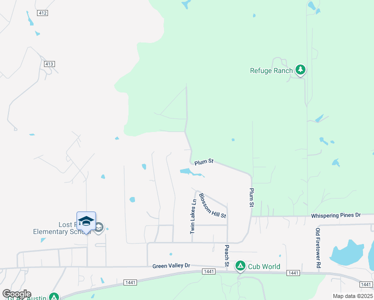 map of restaurants, bars, coffee shops, grocery stores, and more near 363 Plum Street in Bastrop