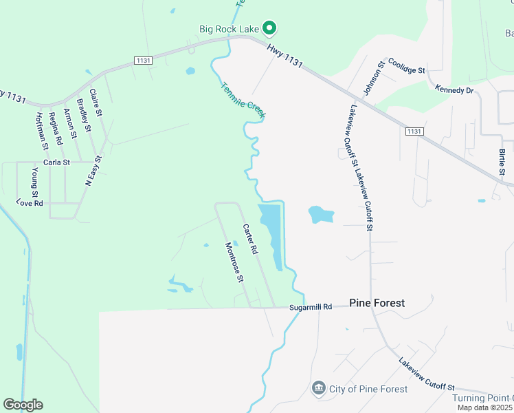 map of restaurants, bars, coffee shops, grocery stores, and more near 4020 Carter Road in Vidor