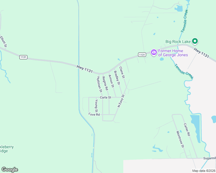 map of restaurants, bars, coffee shops, grocery stores, and more near 170 Regina Road in Vidor