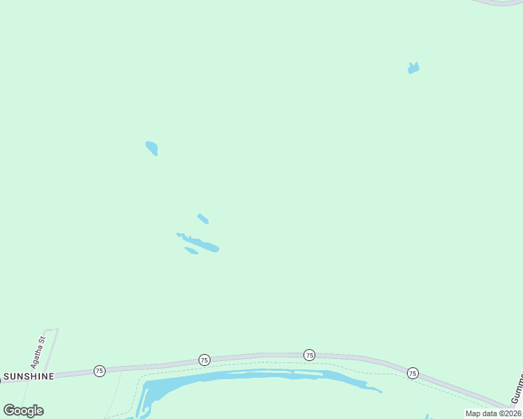 map of restaurants, bars, coffee shops, grocery stores, and more near 1533 Louisiana 75 in Sunshine