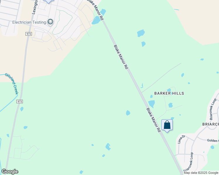 map of restaurants, bars, coffee shops, grocery stores, and more near 17211 Blake Manor Rd in Manor