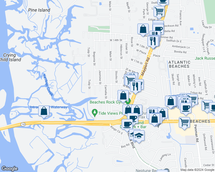 map of restaurants, bars, coffee shops, grocery stores, and more near 589 Camelia Street in Atlantic Beach