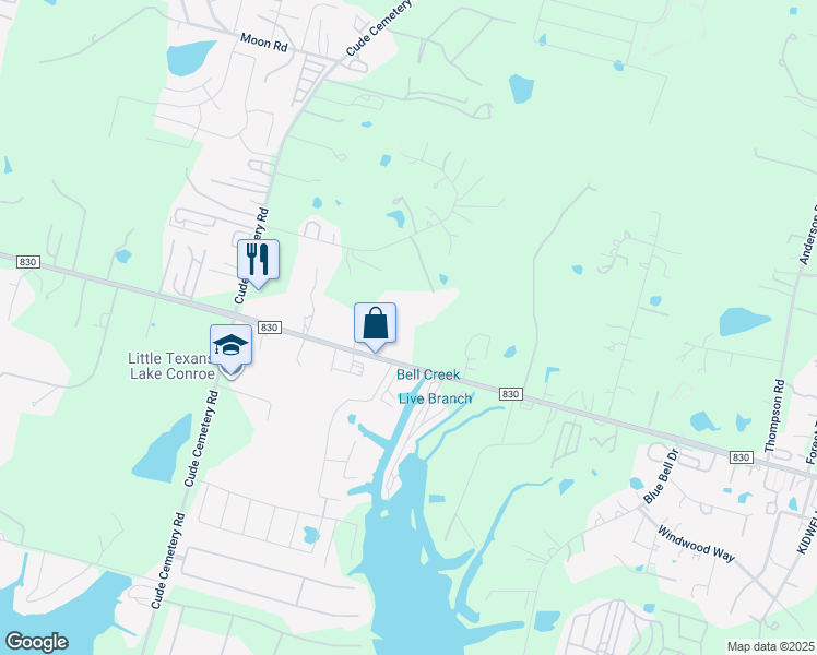 map of restaurants, bars, coffee shops, grocery stores, and more near 12444 Farm to Market Road 830 in Willis