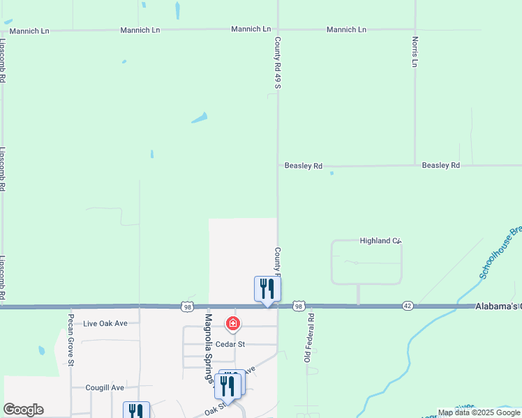 map of restaurants, bars, coffee shops, grocery stores, and more near 12841 County Road 49 in Foley