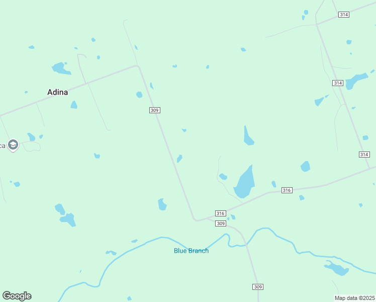 map of restaurants, bars, coffee shops, grocery stores, and more near 5530 County Road 309 in Lexington