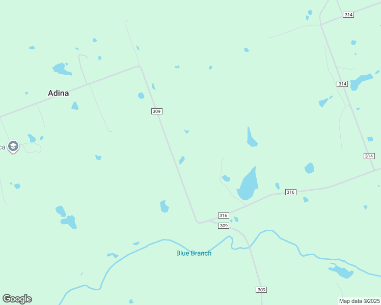 map of restaurants, bars, coffee shops, grocery stores, and more near 5530 County Road 309 in Lexington