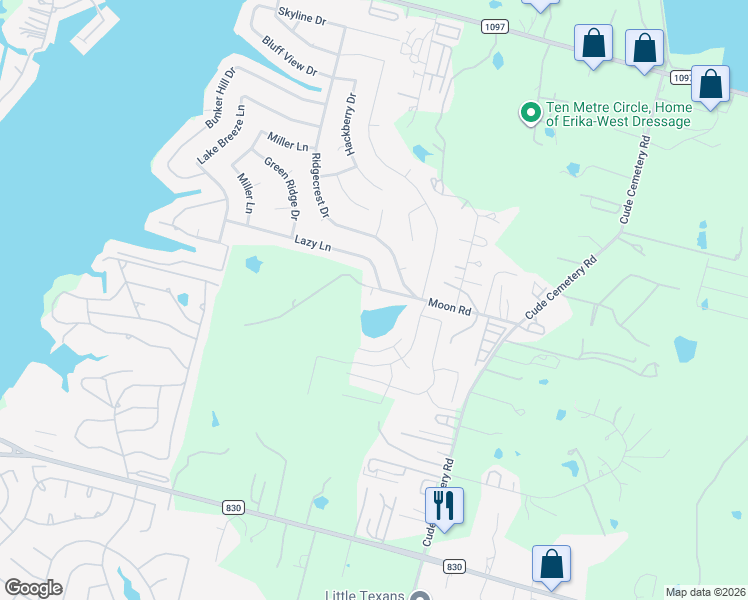 map of restaurants, bars, coffee shops, grocery stores, and more near 13015 Moon Road in Willis