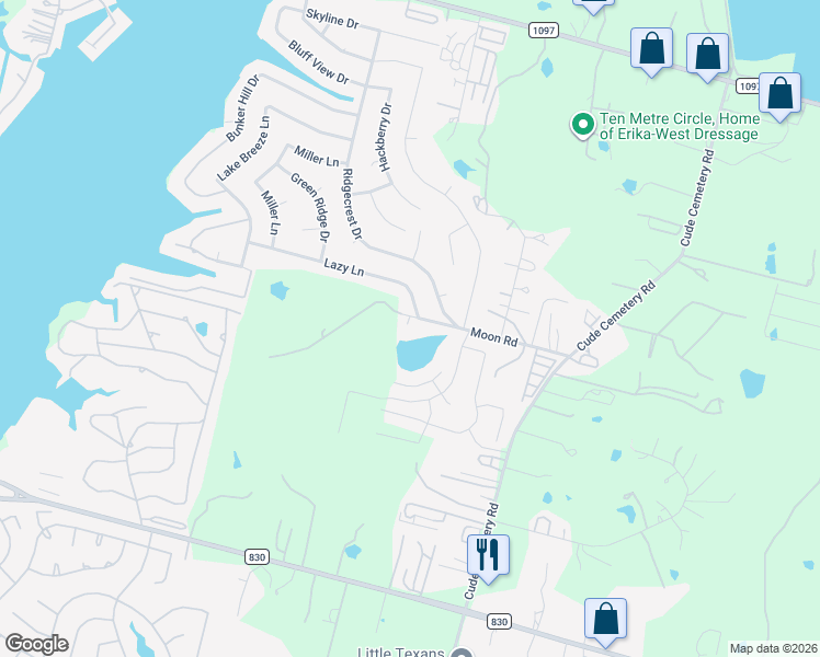map of restaurants, bars, coffee shops, grocery stores, and more near 13015 Moon Road in Willis
