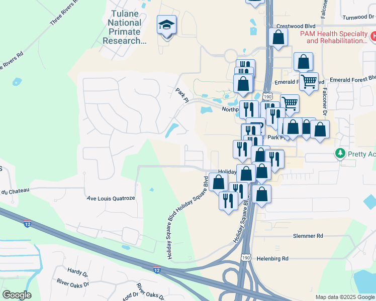 map of restaurants, bars, coffee shops, grocery stores, and more near 204 Emerald Oaks Drive in Covington
