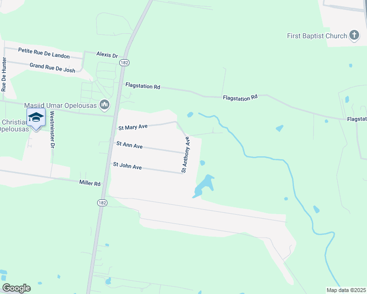 map of restaurants, bars, coffee shops, grocery stores, and more near 113 Saint Ann Avenue in Opelousas