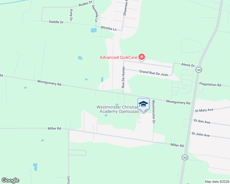 map of restaurants, bars, coffee shops, grocery stores, and more near Montgomery Rd in Opelousas