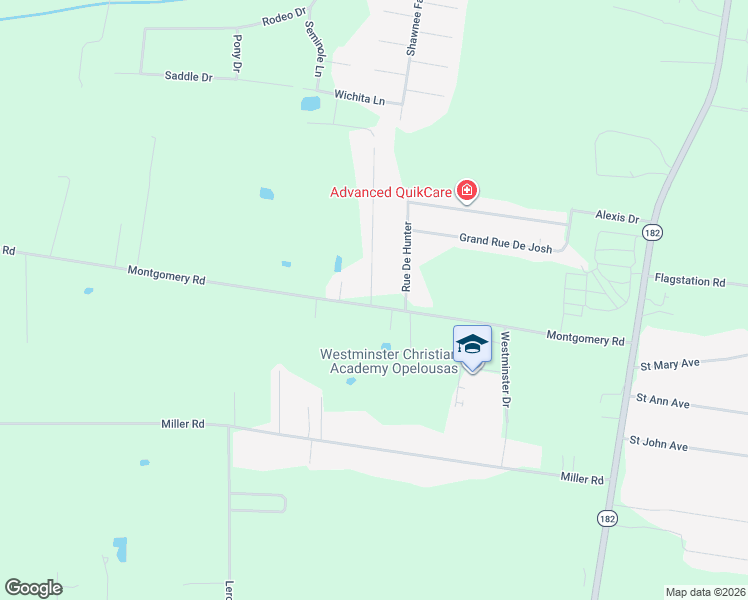 map of restaurants, bars, coffee shops, grocery stores, and more near Montgomery Rd in Opelousas