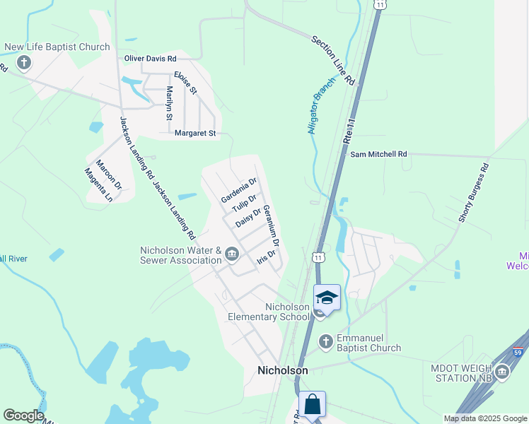 map of restaurants, bars, coffee shops, grocery stores, and more near 116-198 Tulip Drive in Picayune