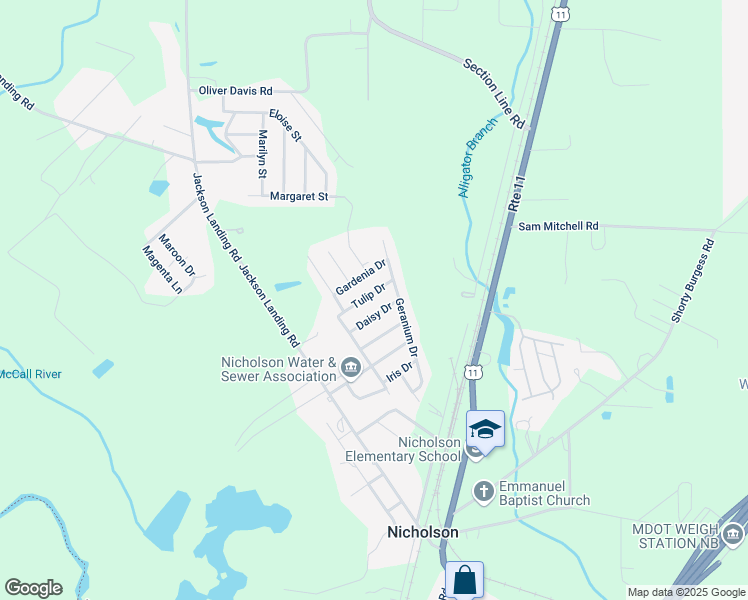 map of restaurants, bars, coffee shops, grocery stores, and more near 116 Tulip Drive in Picayune
