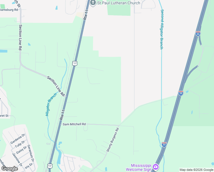 map of restaurants, bars, coffee shops, grocery stores, and more near 99 Eldridge Patch Road in Picayune