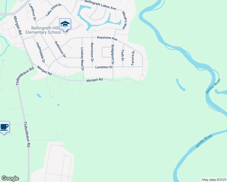 map of restaurants, bars, coffee shops, grocery stores, and more near 6205 Morgan Road in Central
