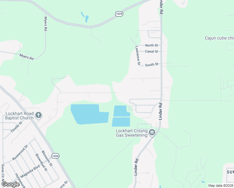 map of restaurants, bars, coffee shops, grocery stores, and more near 9103 Sharee Place in Denham Springs