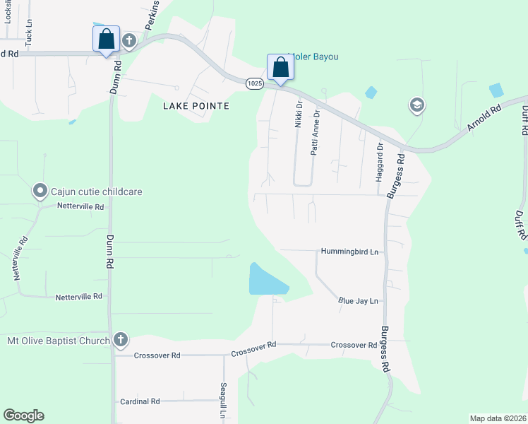 map of restaurants, bars, coffee shops, grocery stores, and more near 10924 Monroe Perkins Road in Denham Springs