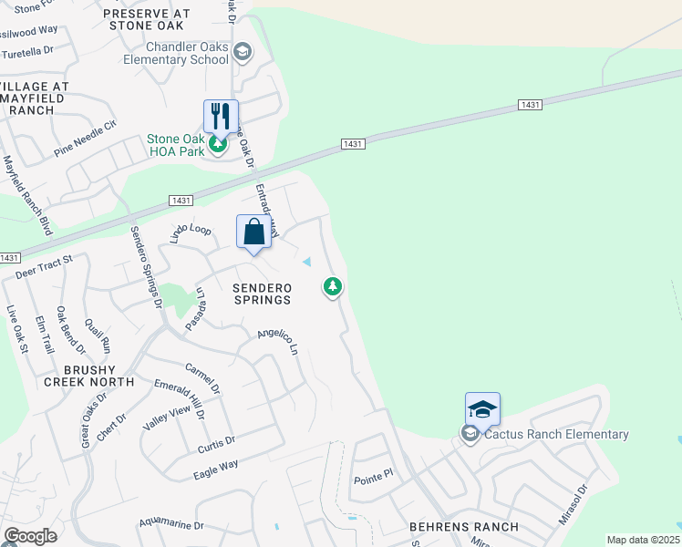 map of restaurants, bars, coffee shops, grocery stores, and more near 401 Cascada Lane in Round Rock