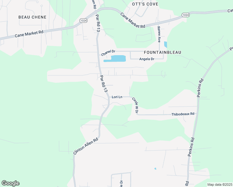 map of restaurants, bars, coffee shops, grocery stores, and more near 10045 Lori Lane in Denham Springs