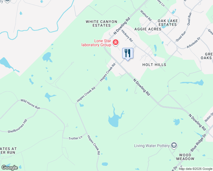 map of restaurants, bars, coffee shops, grocery stores, and more near 11142 Hopes Creek Road in College Station