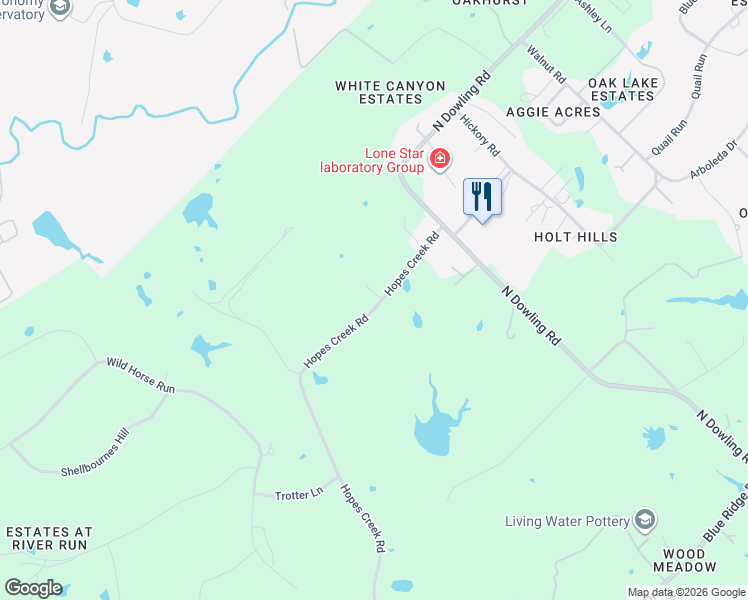 map of restaurants, bars, coffee shops, grocery stores, and more near 11142 Hopes Creek Road in College Station