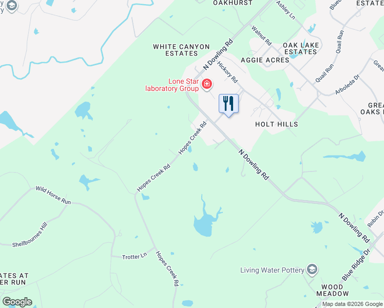 map of restaurants, bars, coffee shops, grocery stores, and more near 11142 Hopes Creek Road in College Station