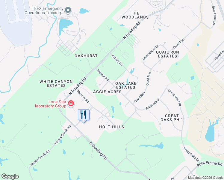 map of restaurants, bars, coffee shops, grocery stores, and more near 4463 Reveille Road in College Station