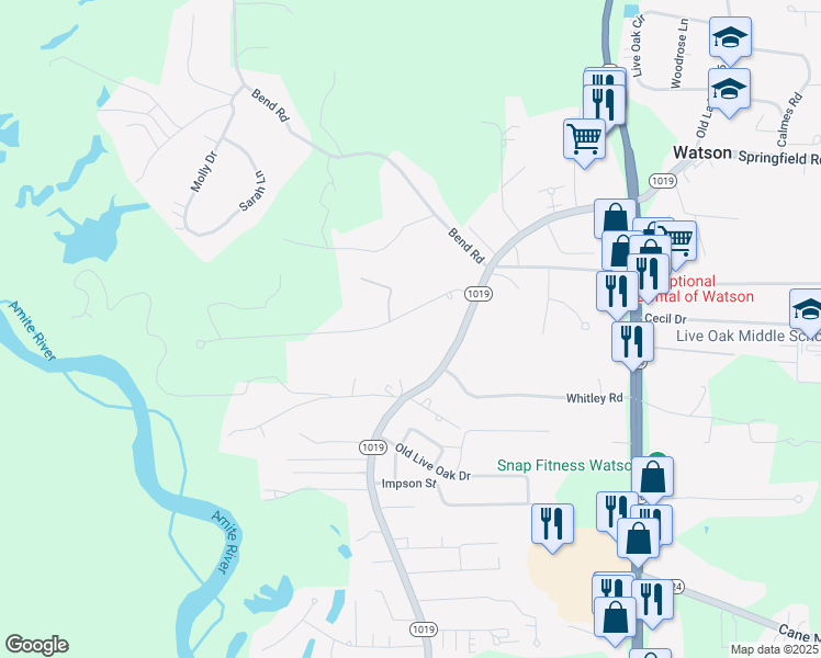 map of restaurants, bars, coffee shops, grocery stores, and more near 7390 Bear Cave Drive in Denham Springs