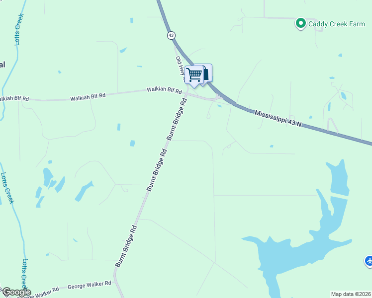 map of restaurants, bars, coffee shops, grocery stores, and more near 2990 Burnt Bridge Road in Picayune