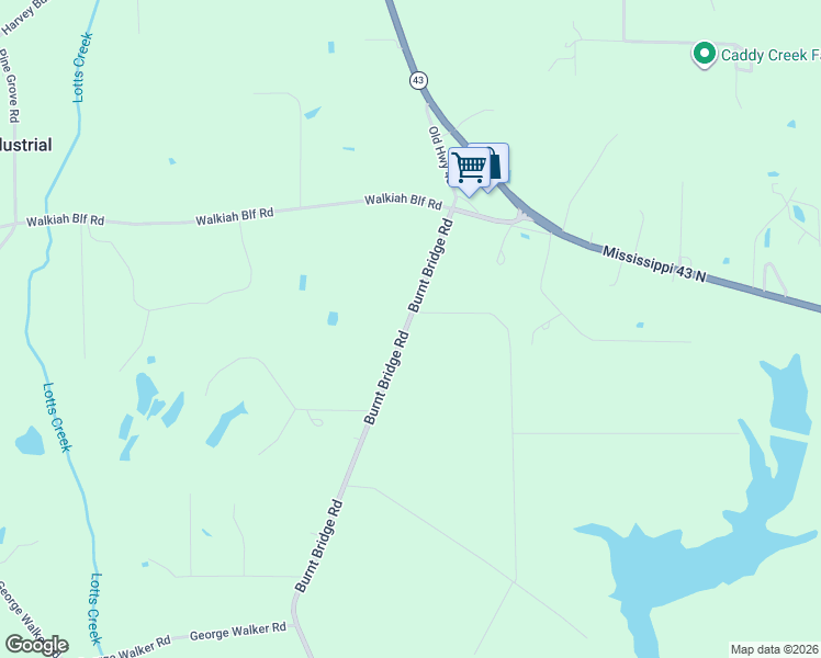 map of restaurants, bars, coffee shops, grocery stores, and more near 2990 Burnt Bridge Road in Picayune