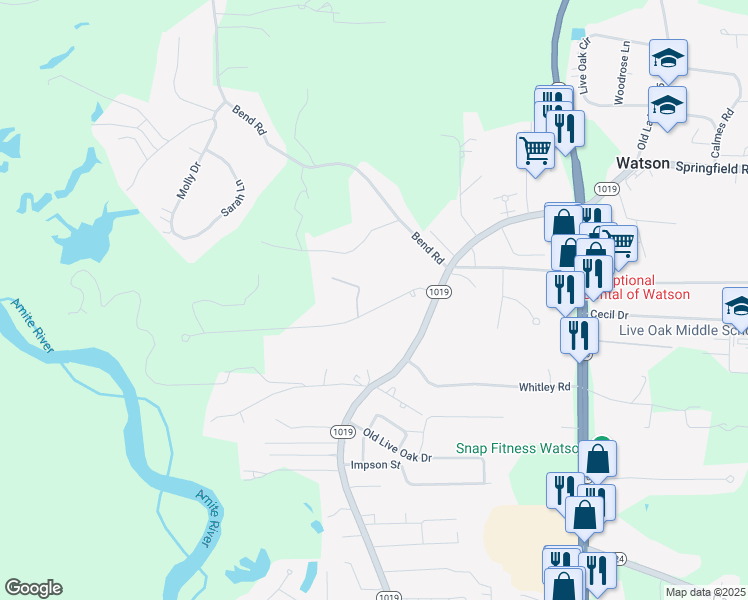 map of restaurants, bars, coffee shops, grocery stores, and more near 7390 Bear Cave Drive in Denham Springs