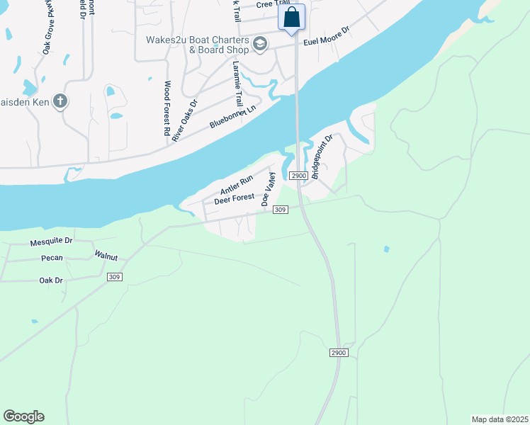 map of restaurants, bars, coffee shops, grocery stores, and more near County Road 309 in Kingsland