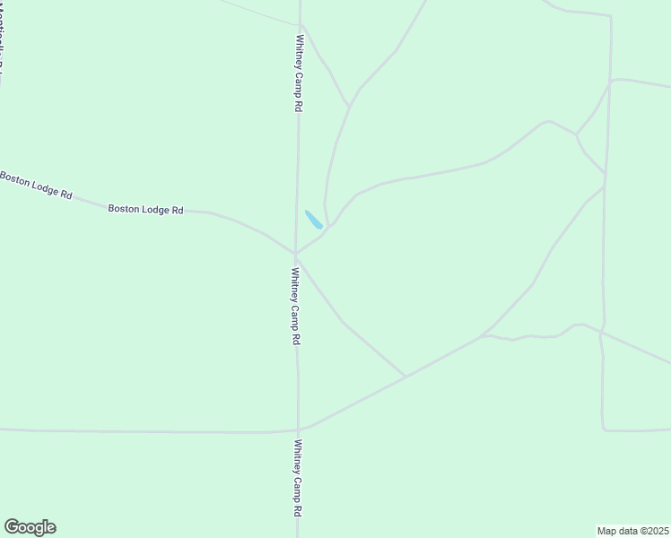 map of restaurants, bars, coffee shops, grocery stores, and more near 3290 Whitney Camp Road in Boston