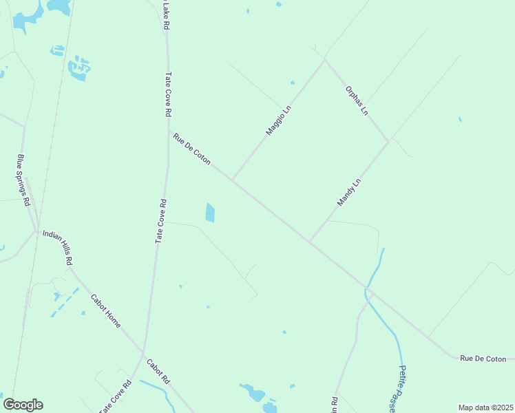 map of restaurants, bars, coffee shops, grocery stores, and more near 1226 Rue De Coton in Ville Platte