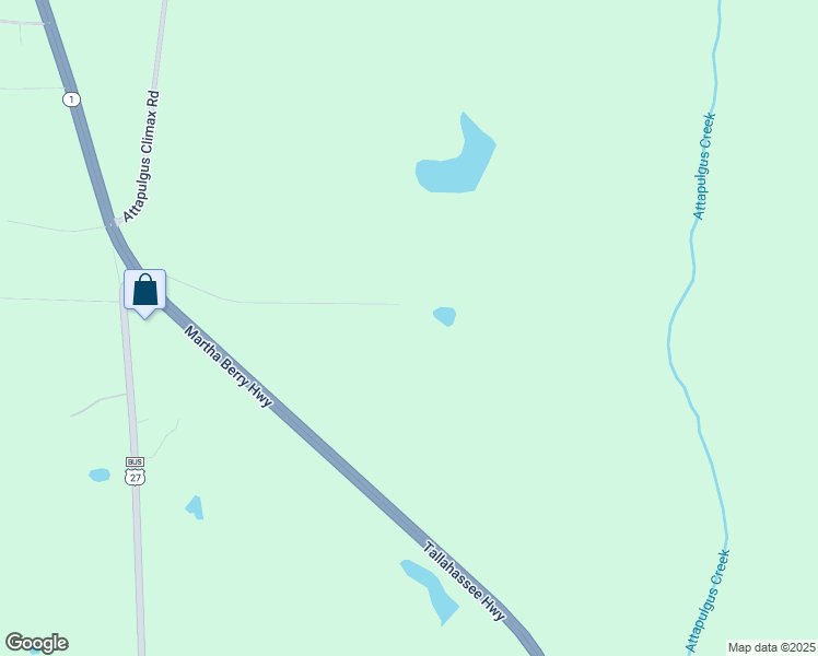 map of restaurants, bars, coffee shops, grocery stores, and more near 226 Hodges-Riley Road in Attapulgus