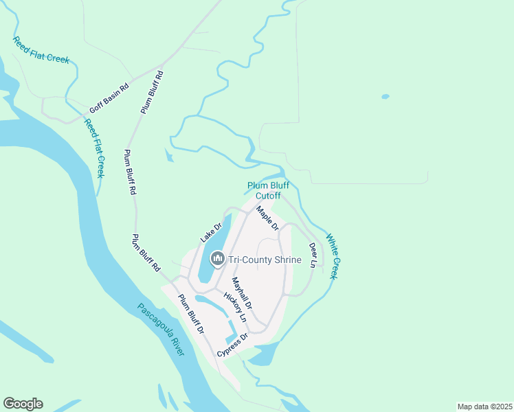 map of restaurants, bars, coffee shops, grocery stores, and more near 199 Maple Drive in Lucedale