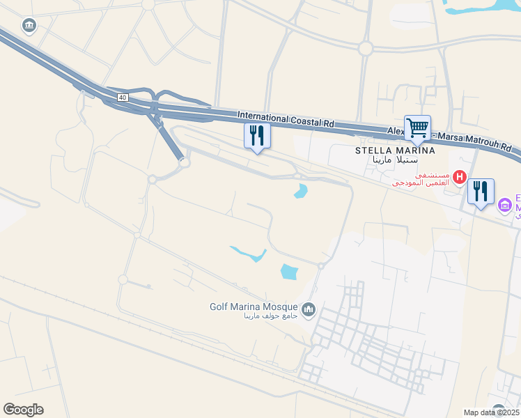 map of restaurants, bars, coffee shops, grocery stores, and more near in 