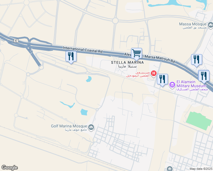 map of restaurants, bars, coffee shops, grocery stores, and more near in 