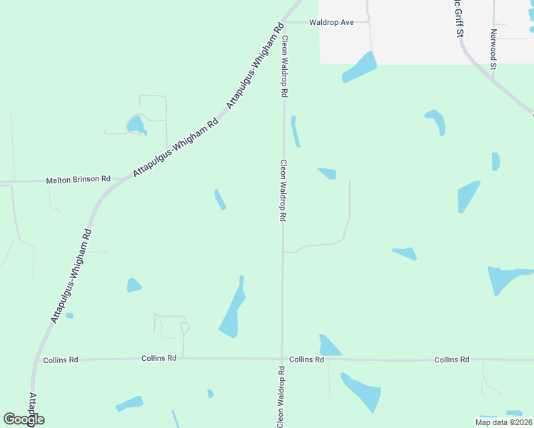 map of restaurants, bars, coffee shops, grocery stores, and more near 384 Cleon Waldrop Road in Whigham