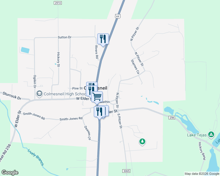 map of restaurants, bars, coffee shops, grocery stores, and more near 305 North Pitzer Street in Colmesneil