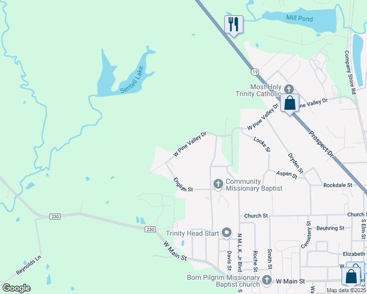 map of restaurants, bars, coffee shops, grocery stores, and more near 102 West Pine Valley Drive in Trinity